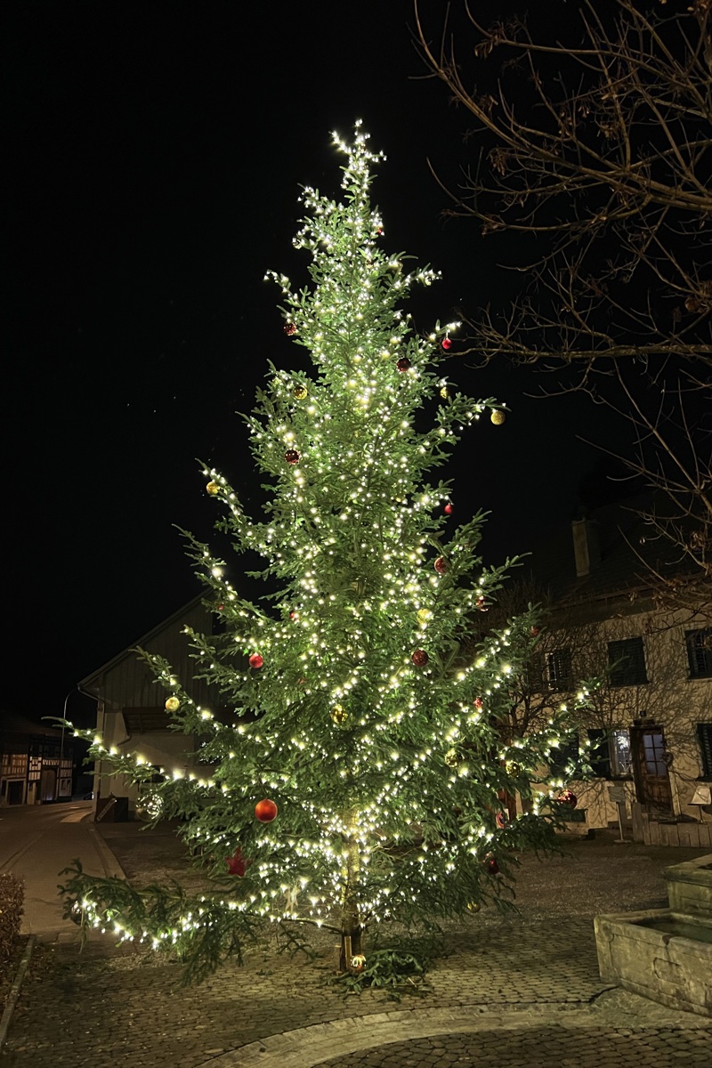 1312 13 Lichterzauber Benken Tanne Spa12 1312 13 Lichterzauber Benken Tanne Spa12