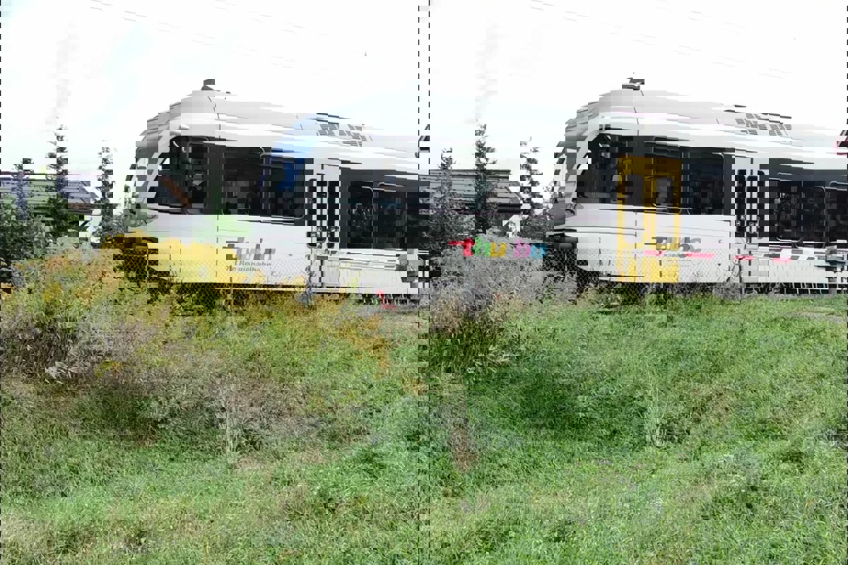 Neophyten in Wagenhausen.