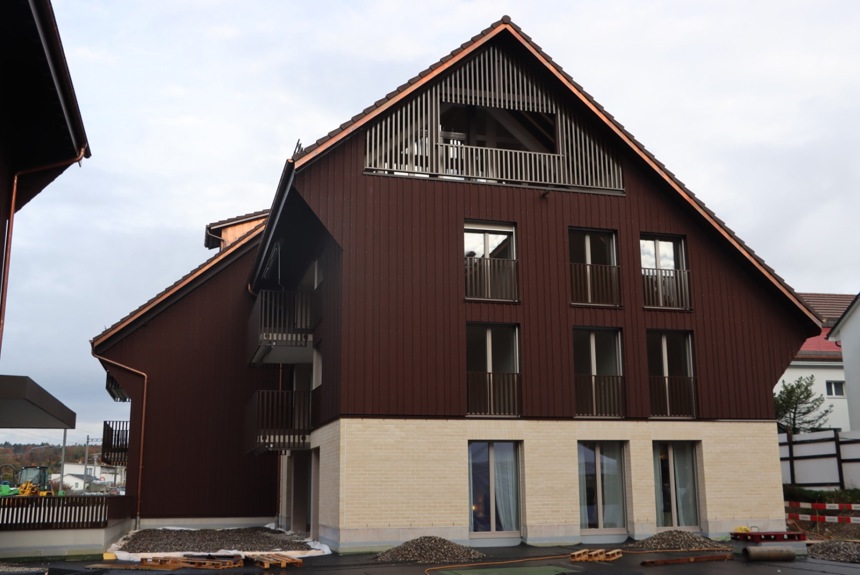 2810 3 Dachsen Bi De Luet Aussen St24