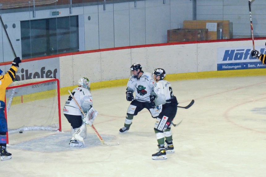 2912_11_eishockey_zvg3.jpg