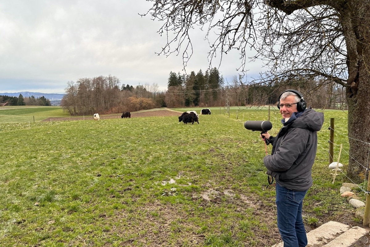 Alexius Tschallener fing mit dem Richtmikrofon die Grunzgeräusche der Yaks für das neueste Globi-Hörspiel ein.