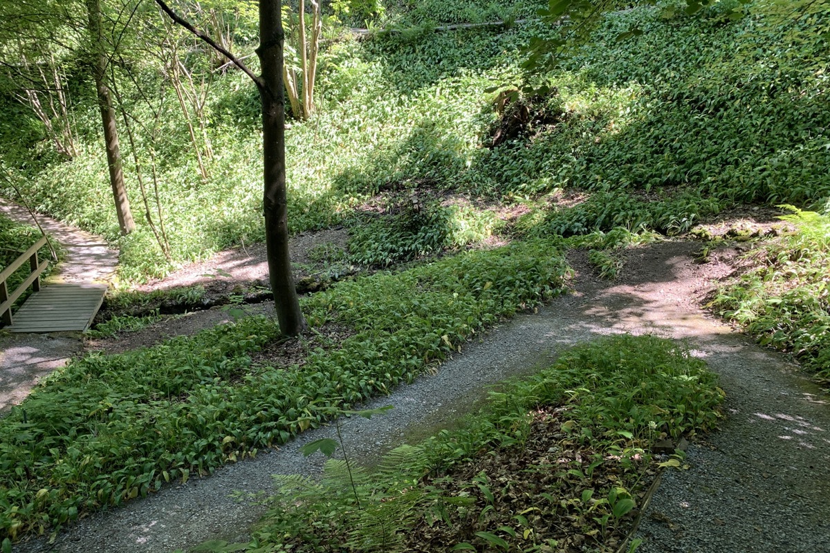 Auch das Gelände im Schlosstobel hat unter den Aktionen gelitten und soll zur Ruhe kommen.