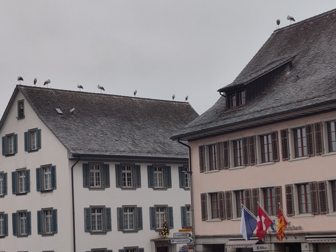 2511 Andelfingen Storch Gebaeude Rs2