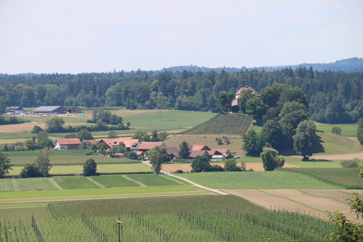 Die Kleinsiedlung Girsberg mit Schloss in Stammheim soll laut Plänen des Kantons als neue Weilerzone kategorisiert werden.