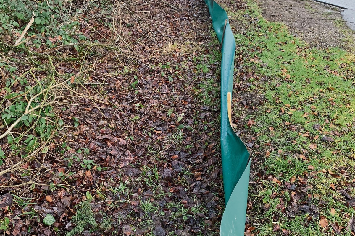 Erste Tiere wurden an den Sperren in der Region bereits gerettet.