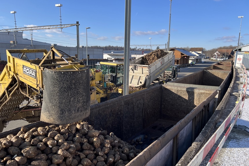 0601 1 Marthalen Ruebenverlad Spa1