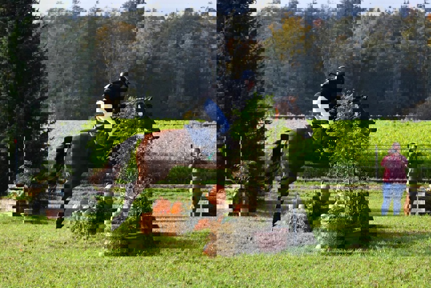0410 11 Herbstspringen Zvg4