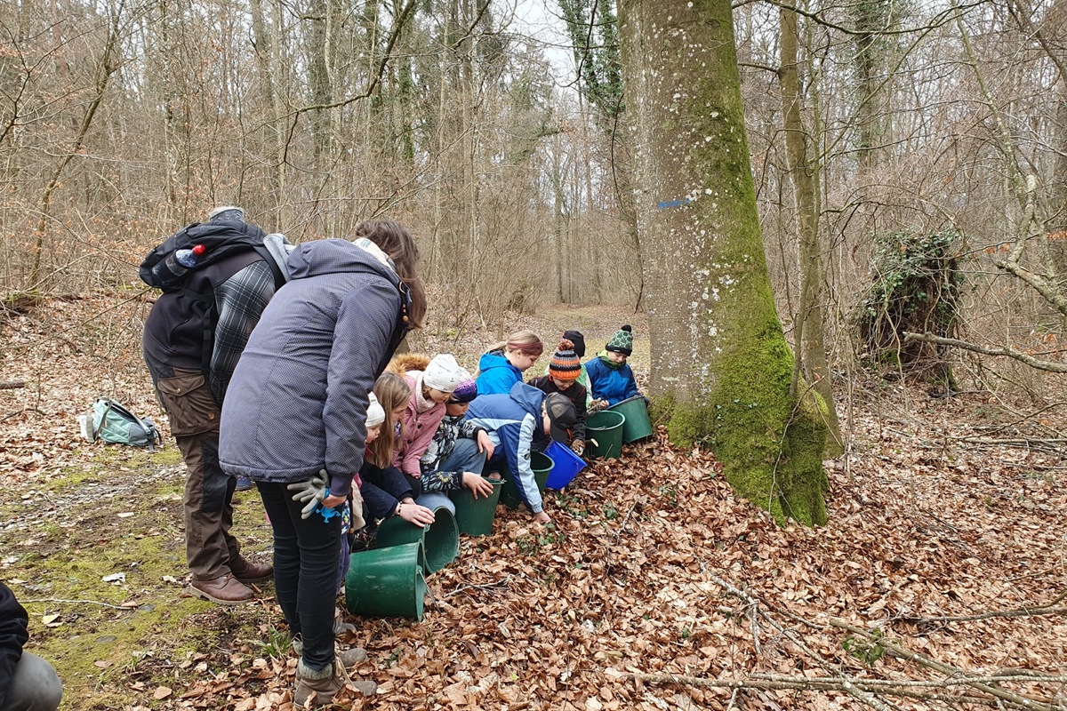 Einer der Höhepunkte beim Froschtaxi-Dienst: Die Tiere auf der sicheren Seite freilassen.