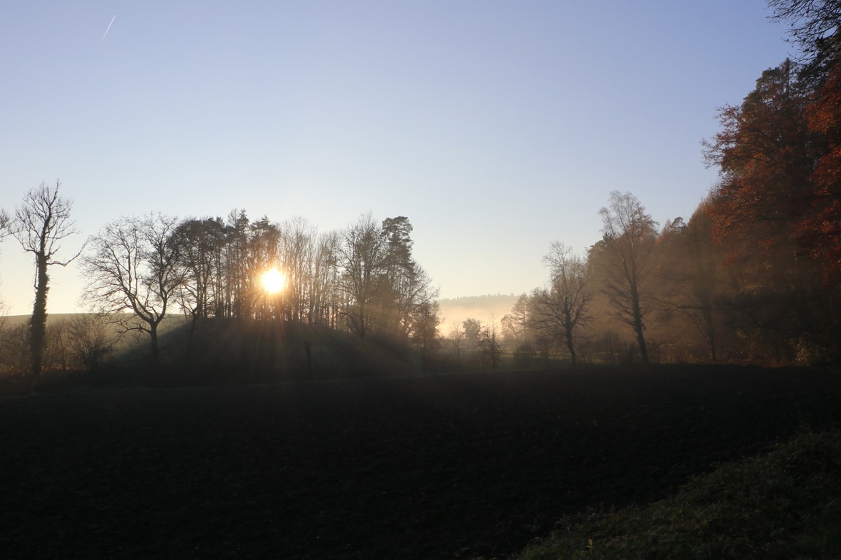 Der blaue Himmel liegt auch im Herbst ganz nah: Im Nachbarort Aesch zeigte sich die Sonne