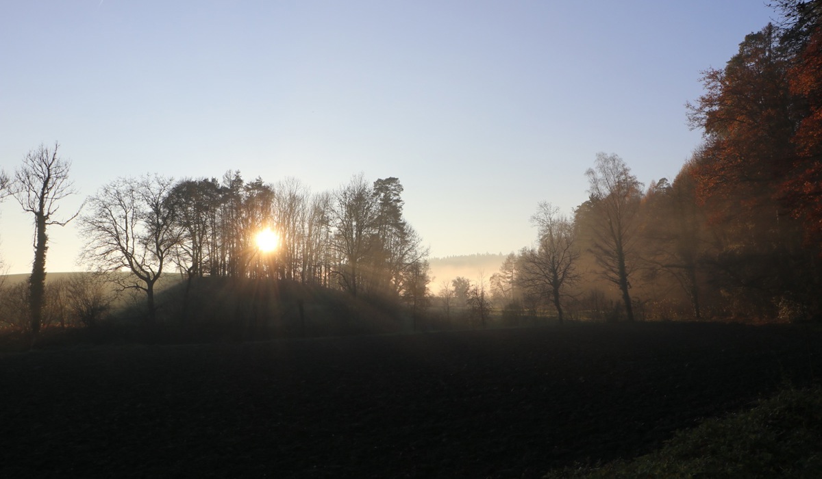 1908_9_hauptbild-aesch-nebel-himmel_hay3.jpg 1908_9_hauptbild-aesch-nebel-himmel_hay3.jpg