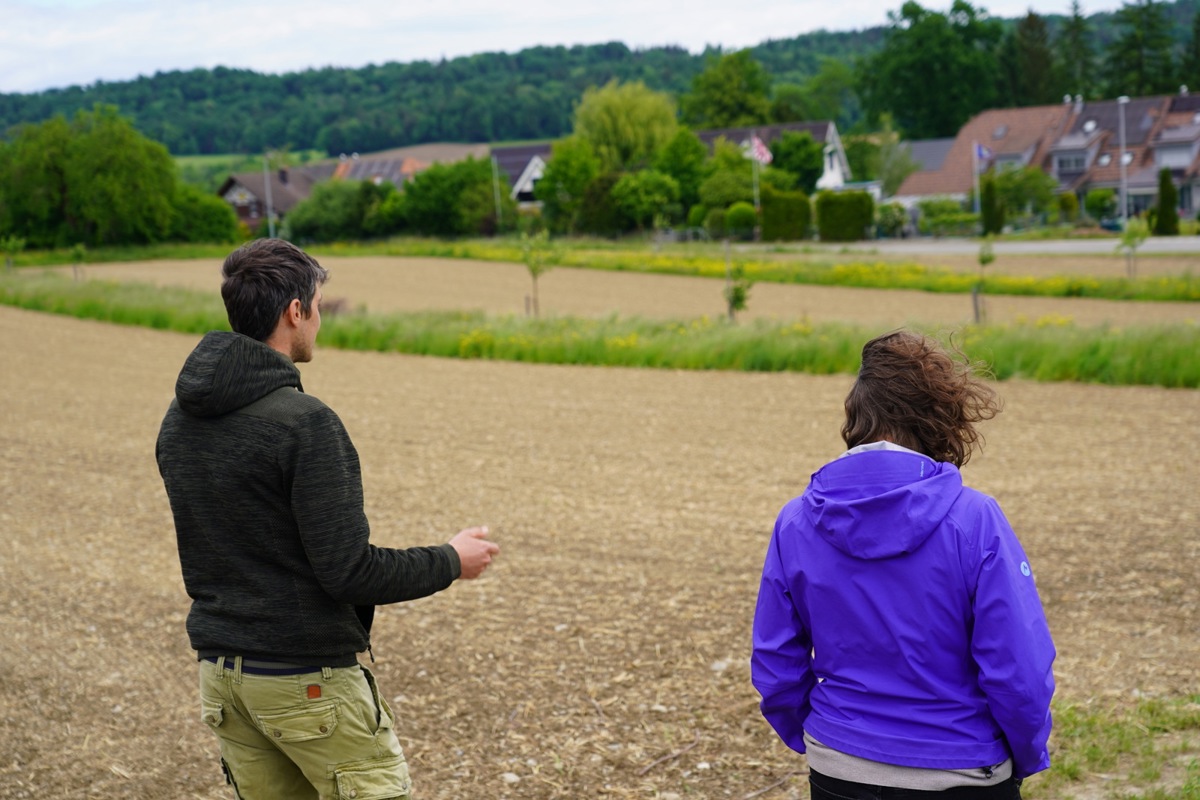 Jürg Strauss und Andrea Friedrich vor dem Agroforstsystem. 