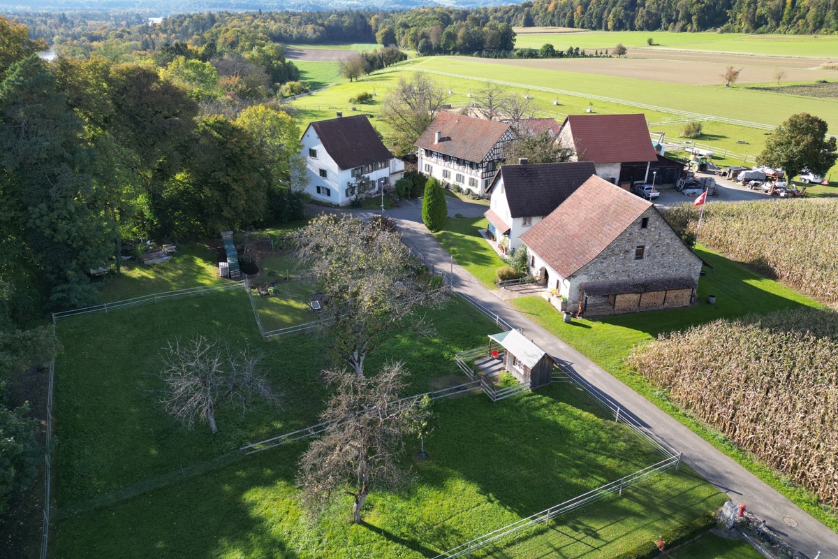 Der Wespersbühl mit der Burgtrotte (rechts).