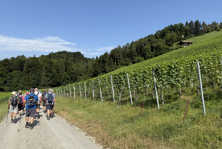 2207 7 Wandern Rebberg Cs14