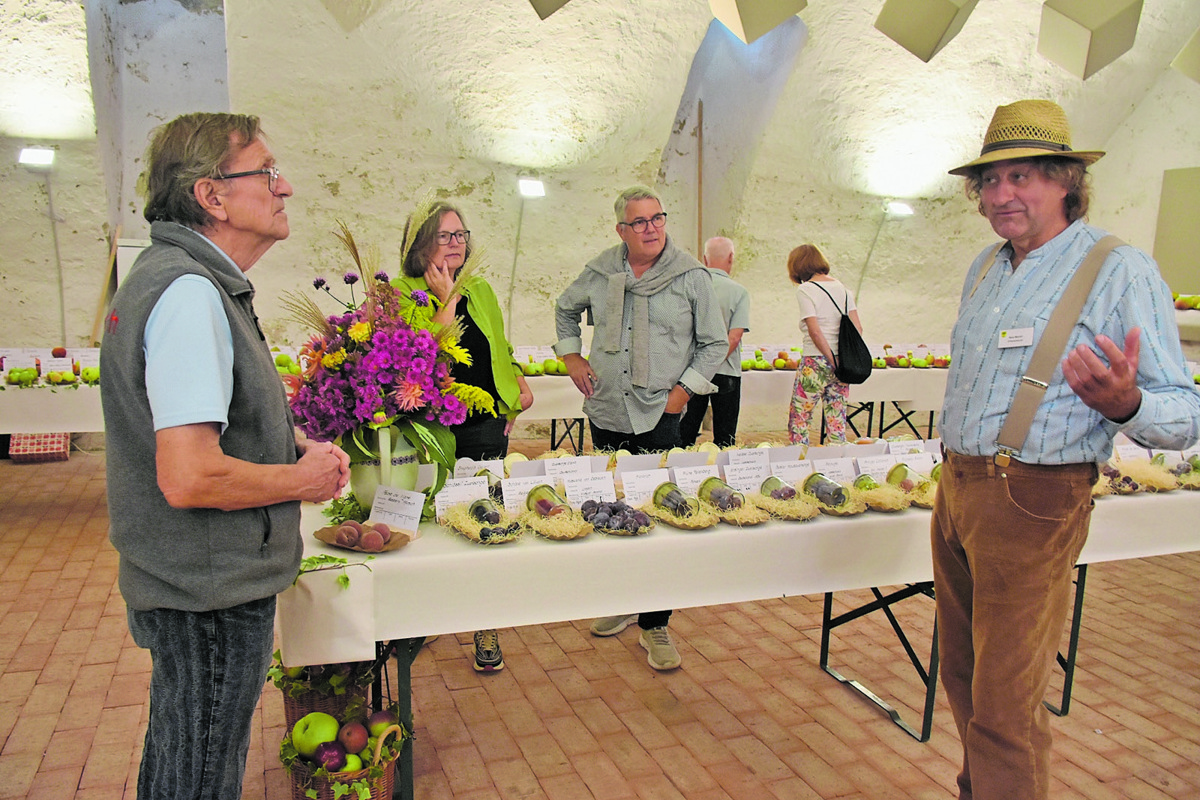 Die Pomologen Göpf Mülli (links) und Beat Möckli blieben bei der Obstausstellung in Mar­tha­len keine Antwort schuldig. Zur Finissage kamen zu den Äpfeln auch Birnen und Zwetschgen dazu.
