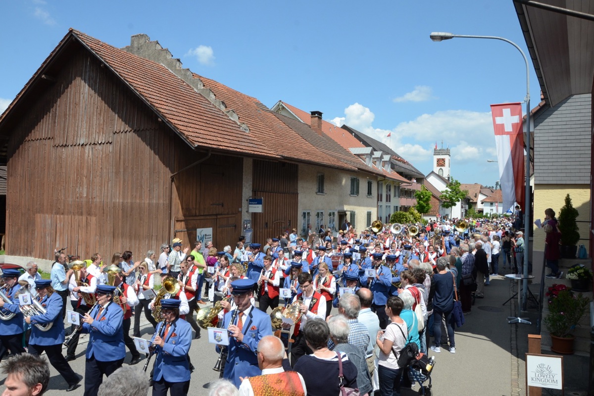 Die vereinten Rheinauer Musikanten bildeten den krönenden Abschluss der Marschmusikparade.