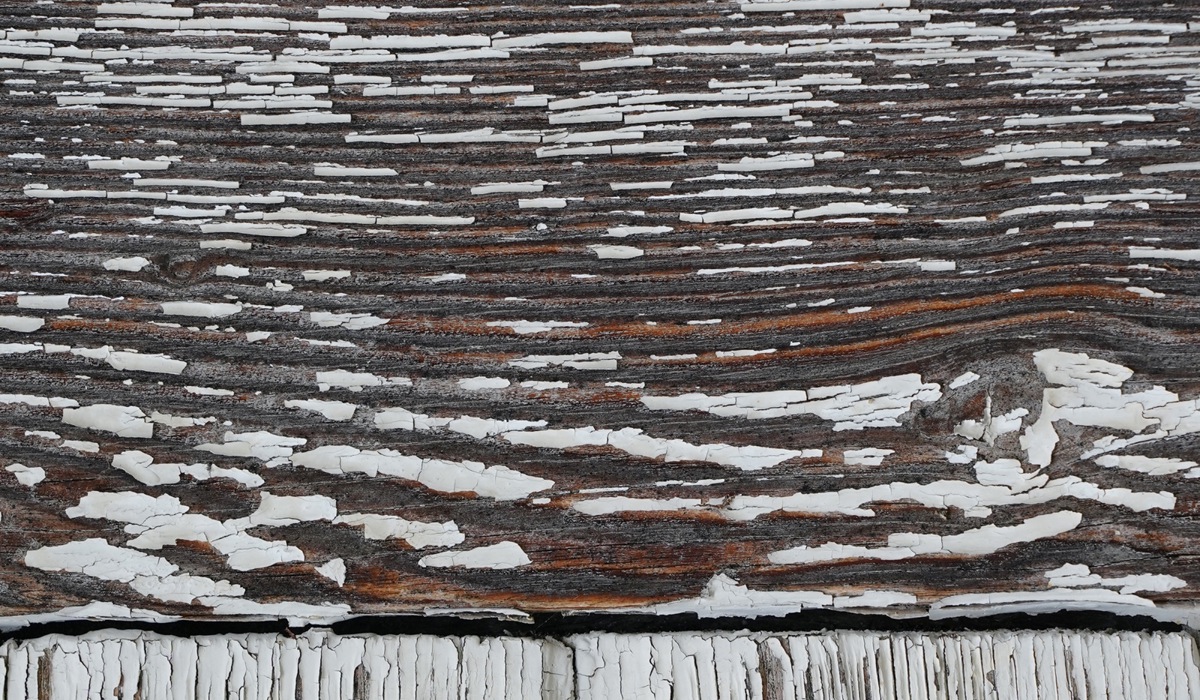 0308_3_fotografie2greuter_zvg2.jpg 0308_3_fotografie2greuter_zvg2.jpg