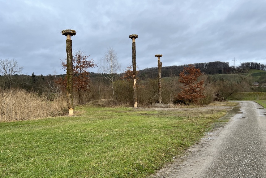 1312 5 Thalheim Storchennest Spa28