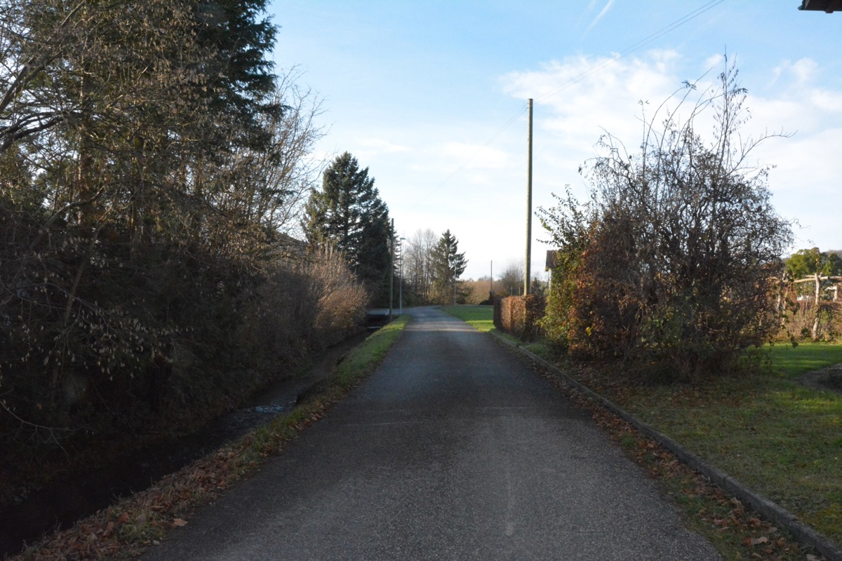 Der geteerte Bereich der Dorfemer Schützenhausstrasse soll 2026 umfassend saniert werden.