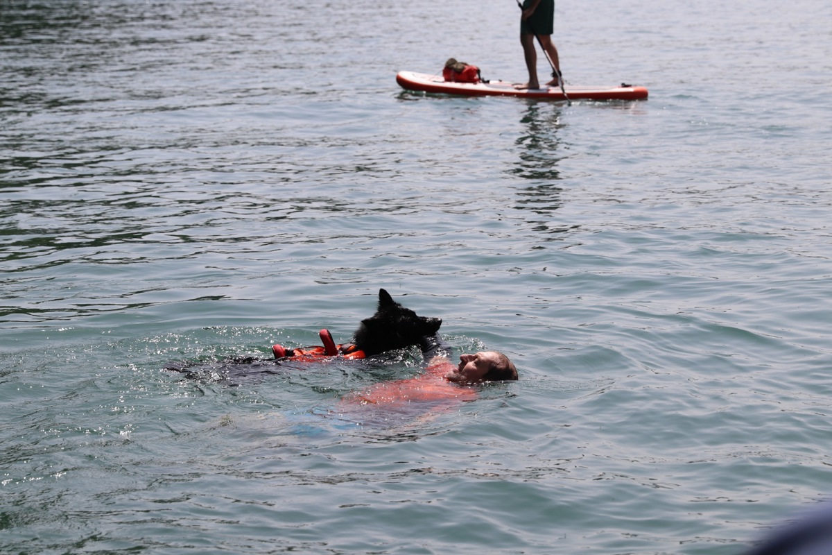 Dreht Ihn In Richtung Boot1 Dreht Ihn In Richtung Boot1