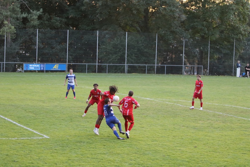 3103 11 Fussball Msa18