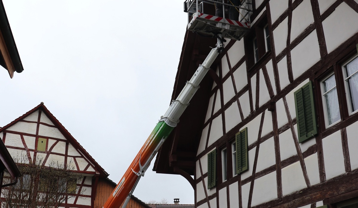 1503_3_mehlschwalben-nestmontage1_jbe.jpg