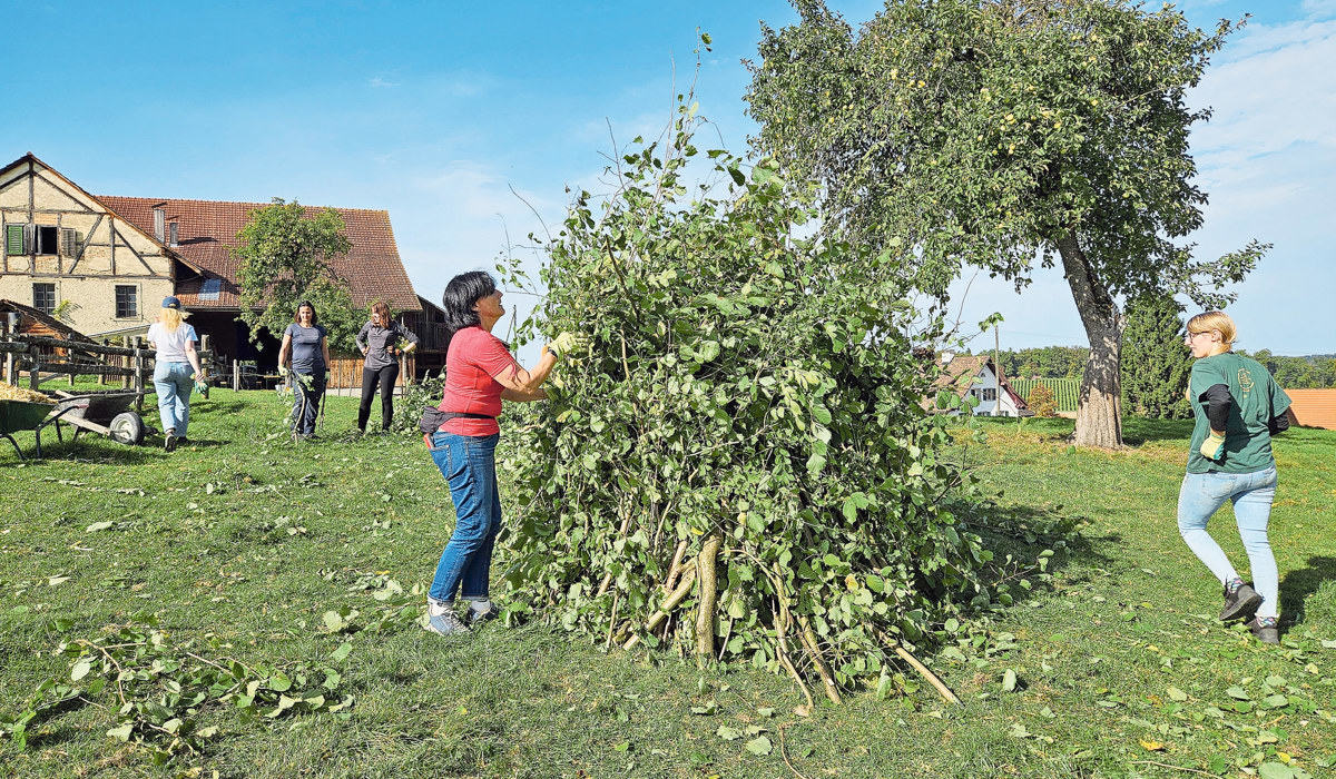 1010_1_wieselburgen-bauen-hof-moser_jbe.jpg 1010_1_wieselburgen-bauen-hof-moser_jbe.jpg