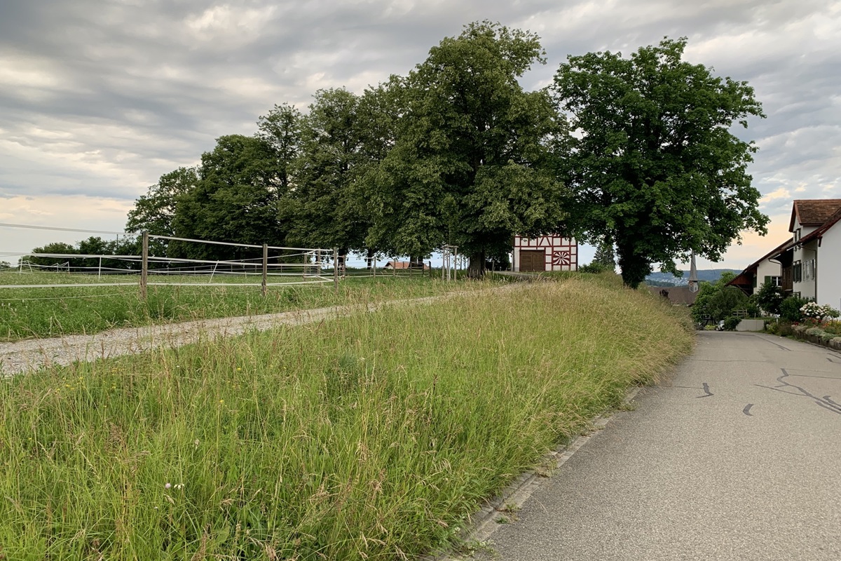 Bevor das Kloster Rheinau in Marthalen eine Kapelle baute