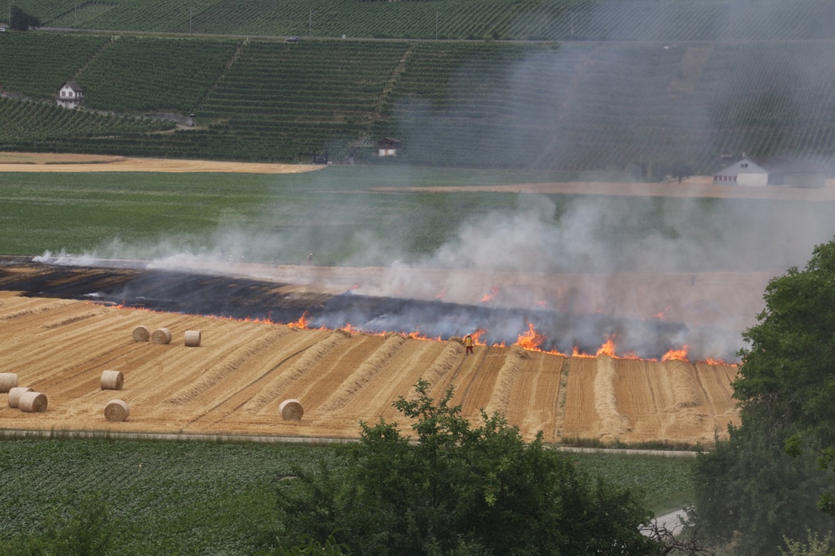 Der Flächenbrand auf dem Feld war schwer einzudämmen.