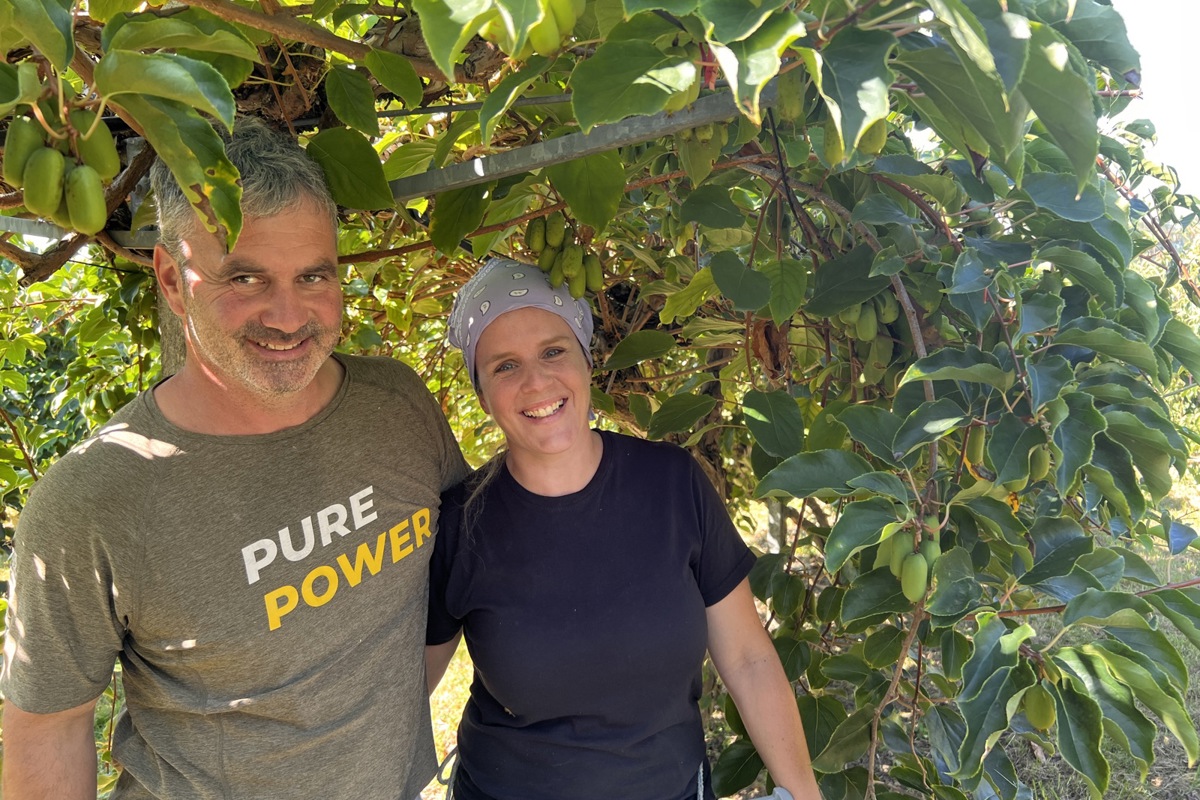 Sie glauben an die Mini-Kiwi: David und Katja Keller am Montag in ihrer Plantage. Sie pflücken erst Sie glauben an die Mini-Kiwi: David und Katja Keller am Montag in ihrer Plantage. Sie pflücken erst