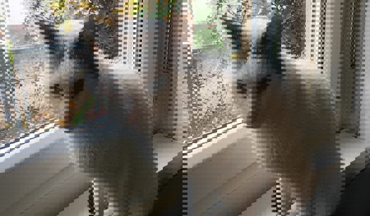 hugo13.jpg hugo13.jpg