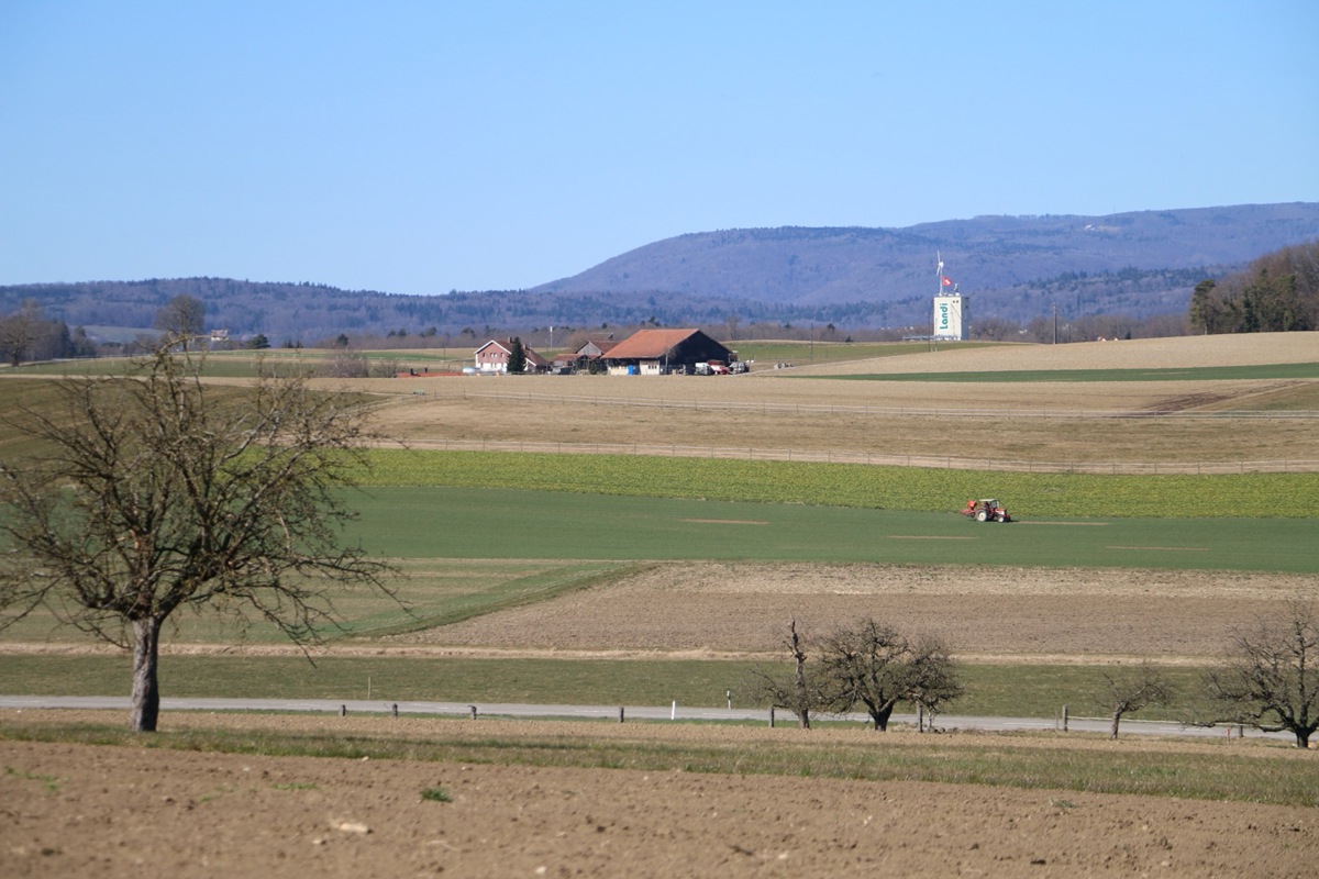 Die landwirtschaftliche Siedlung mit 39' 000 Quadratmeter Fläche drumrum wäre erst am Schluss versteigert worden