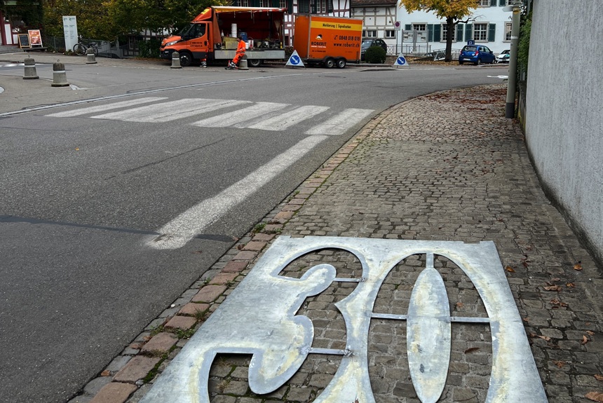0407 3 Zebrastreifen20