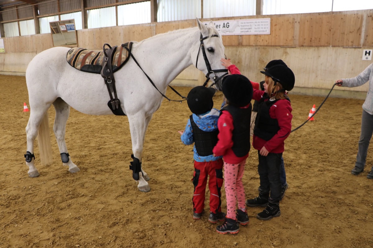 Die Kinder gehen auf Tuchfühlung mit der Stute Miss Manou. Weil sie viele schwarze Tupfen im Fell hat