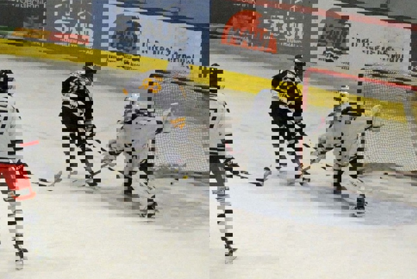 0212 11 Hockey Zvg5