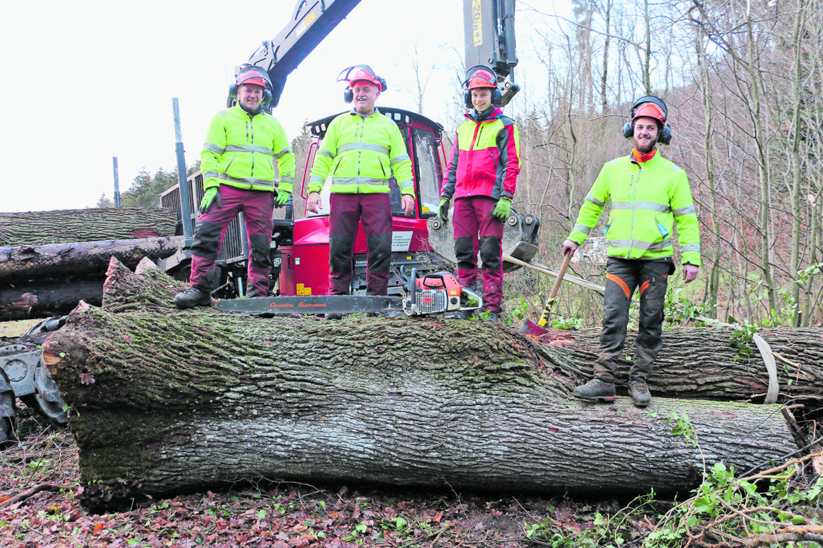 Stolz posiert das Holzfällerteam auf der Eiche
