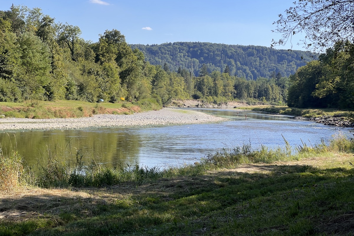Schirmchen am Waldrand und Blüttler im Wasser: Der FKK-Strand an der Thur zwischen Hänge- und Holzbrücke. Schirmchen am Waldrand und Blüttler im Wasser: Der FKK-Strand an der Thur zwischen Hänge- und Holzbrücke.