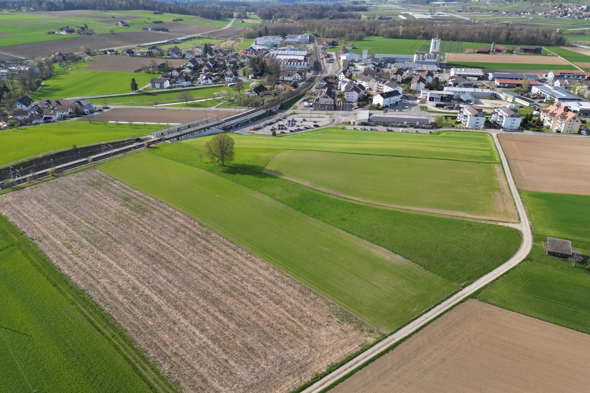 Im Fleudebüel soll ein neuer Lebensraum für seltene Tiere und Pflanzen entstehen.