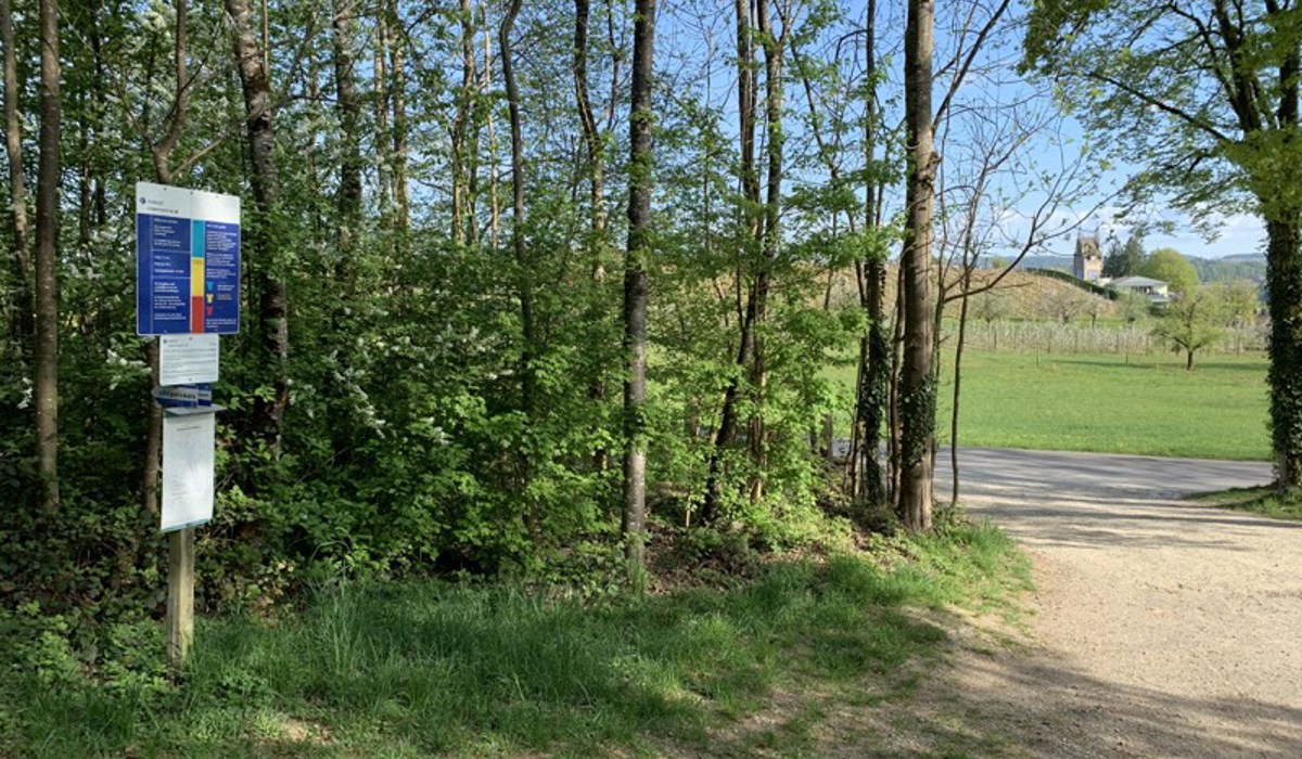 2104_7_vitaandelfingen_sm8.jpg
