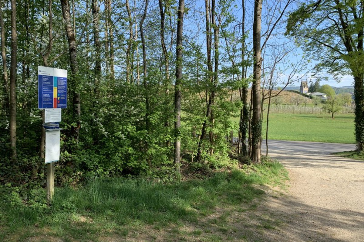 Andelfingen: harter Beginn