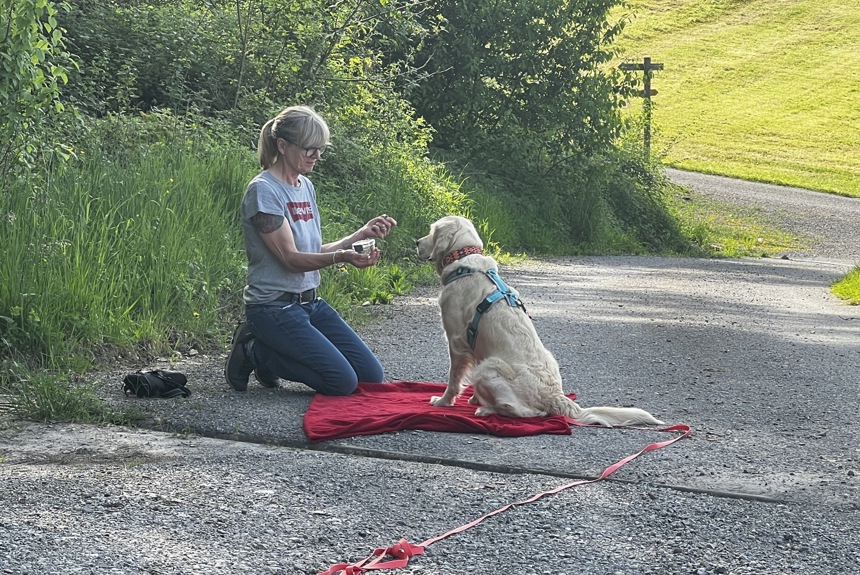 0905 6 Spürhundetraining St17