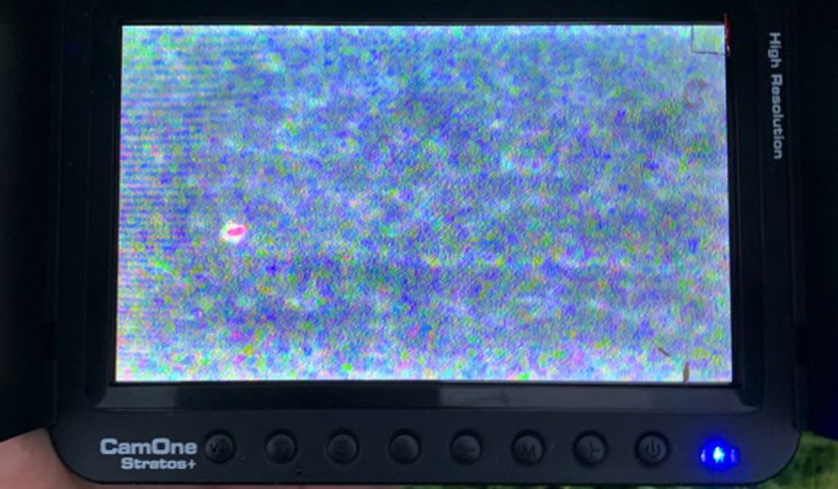 2306_9_marthalen_jagd_drohne_waermebild_zvg13.jpg 2306_9_marthalen_jagd_drohne_waermebild_zvg13.jpg