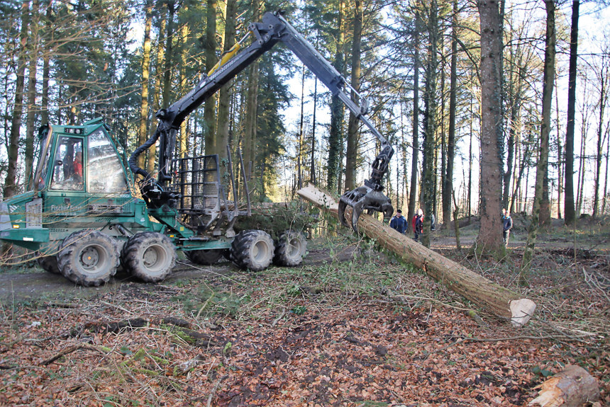 1102 7 Wildensbuch Holzgant 2025 Forwarder Im Einsatz Romü