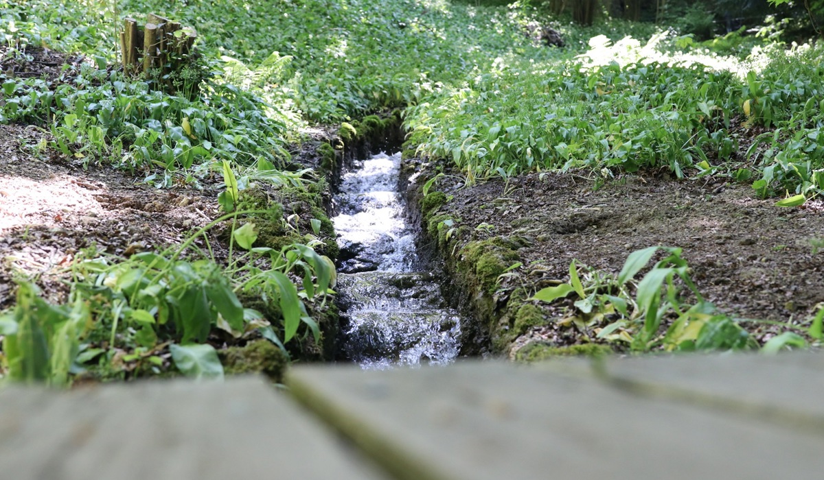 0406_3_andelfingen_schloss-tobel_bach_signer_spa5.jpg 0406_3_andelfingen_schloss-tobel_bach_signer_spa5.jpg