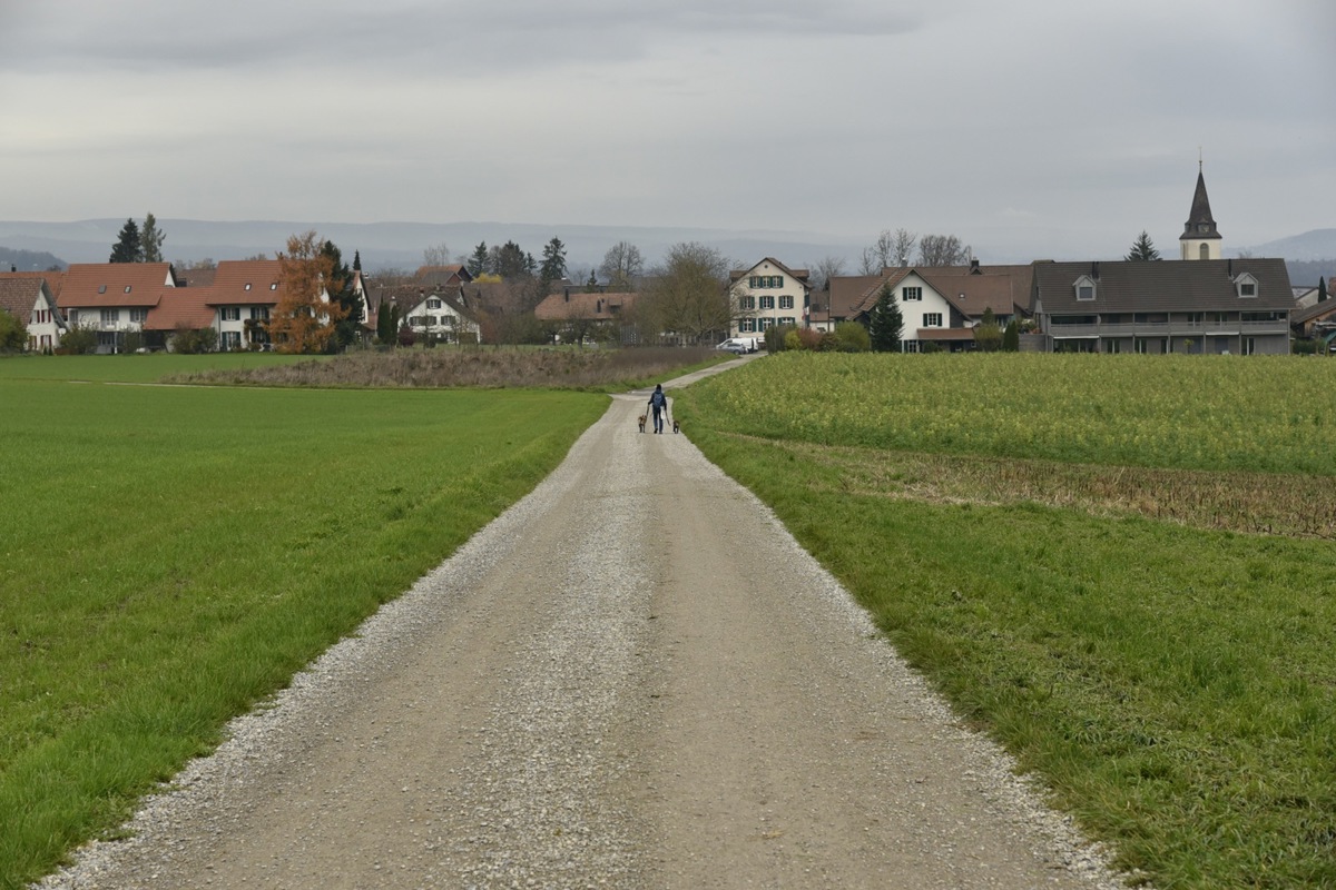 Bei Starkregen fliessen vom Irchel Sturzbäche die Zintenwissstrasse hinunter in den Ort. Davon sind vor allem die ersten Häuser betroffen.