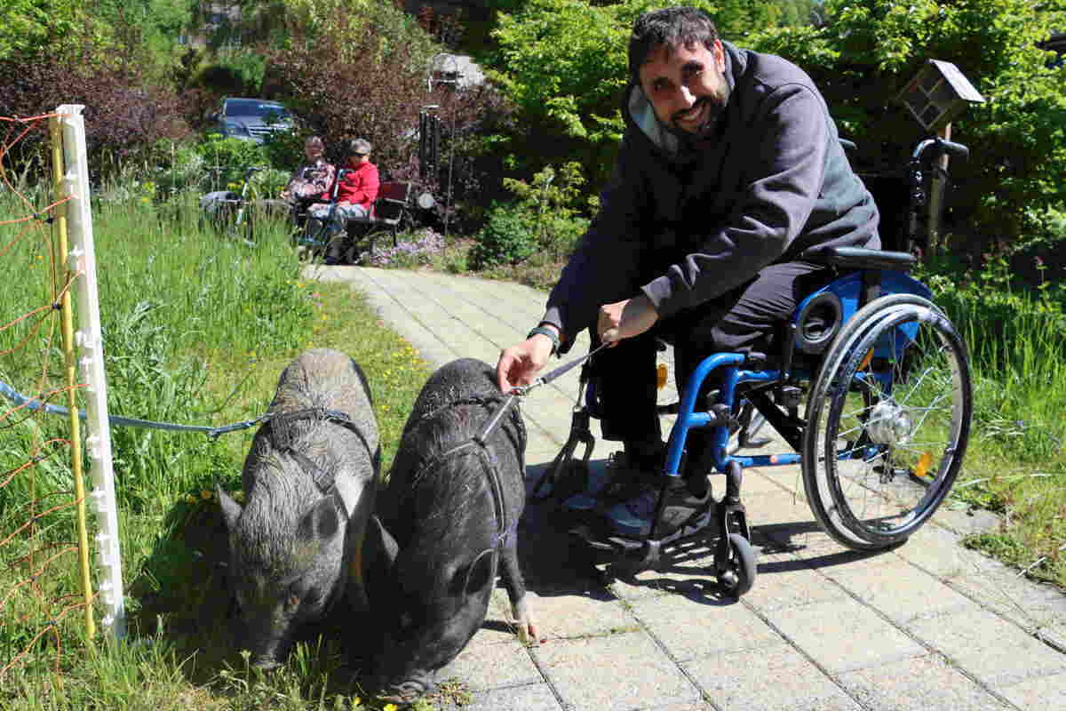 Die Bewohnerinnen und Bewohner haben Max und Moritz schnell ins Herz geschlossen.