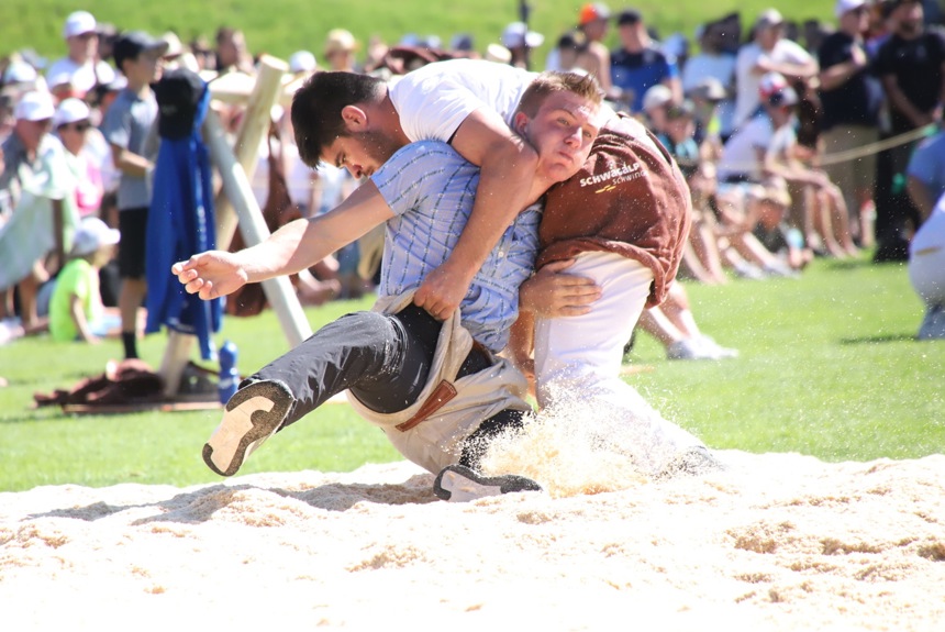 0107 9 Schwingen Zvg15