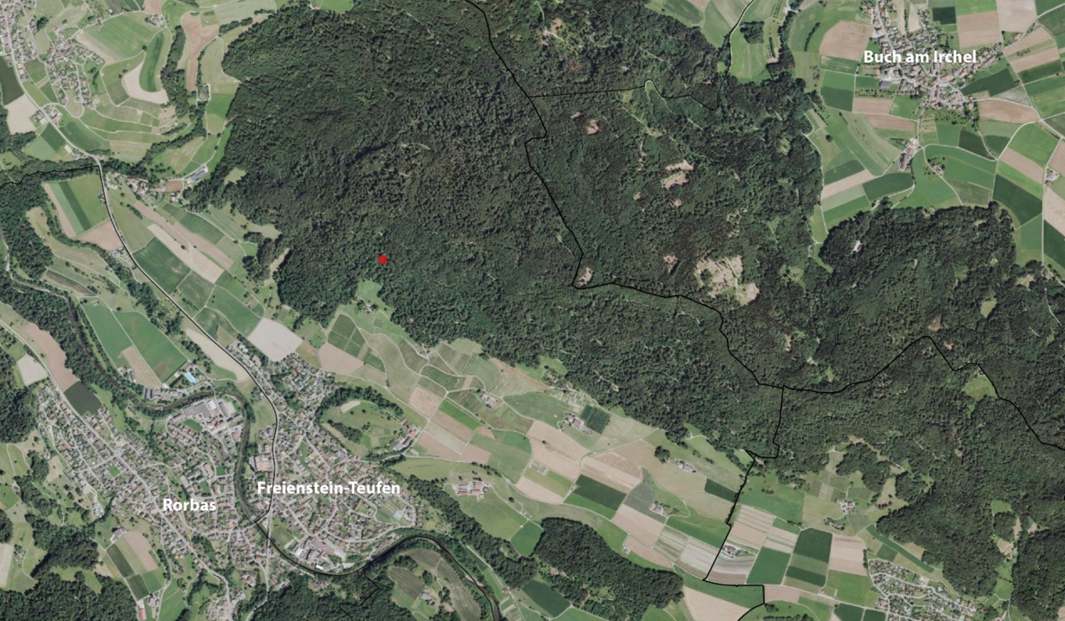 wald-21.jpg