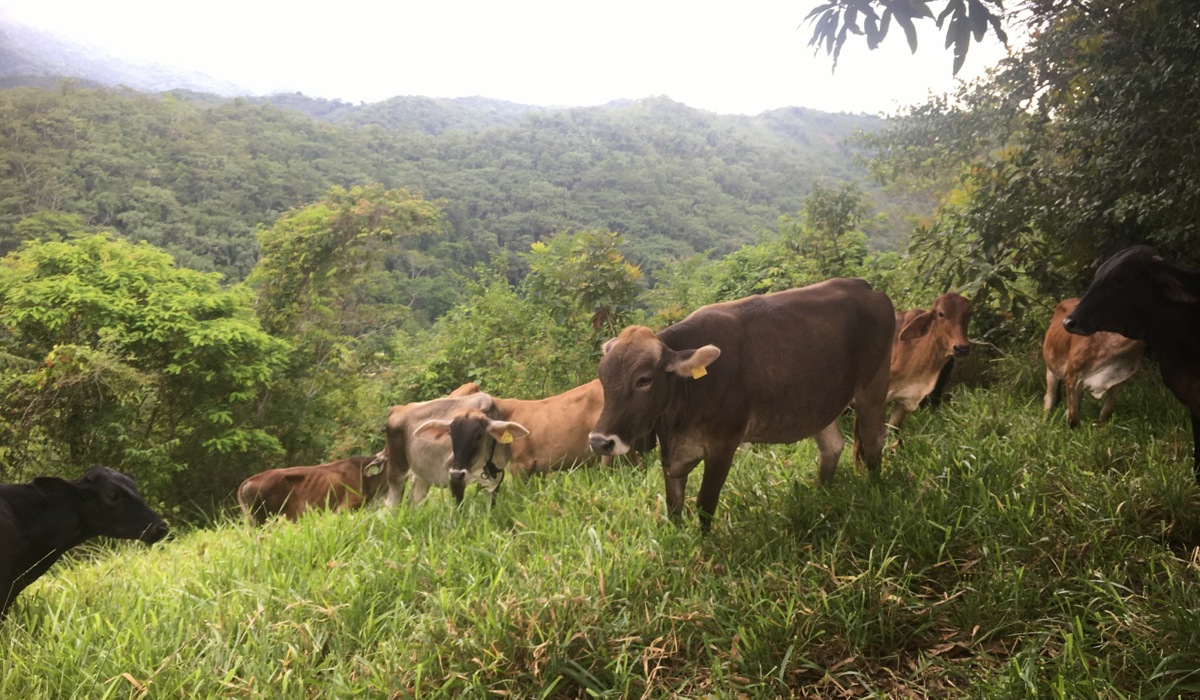 kuh_046.jpg kuh_046.jpg