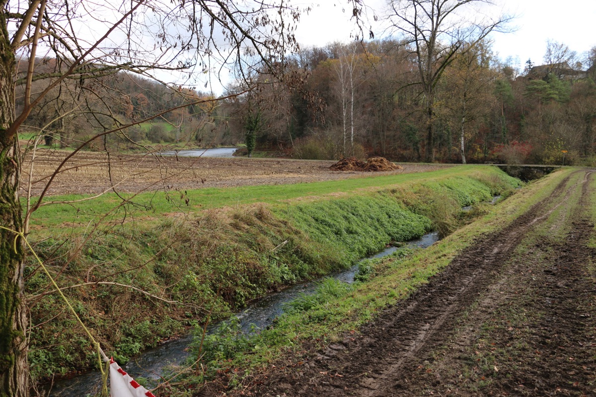 Die letzten 120 Meter des Lattenbachs bis zur Mündung in die Thur werden für 237'000 Franken revitalisiert.