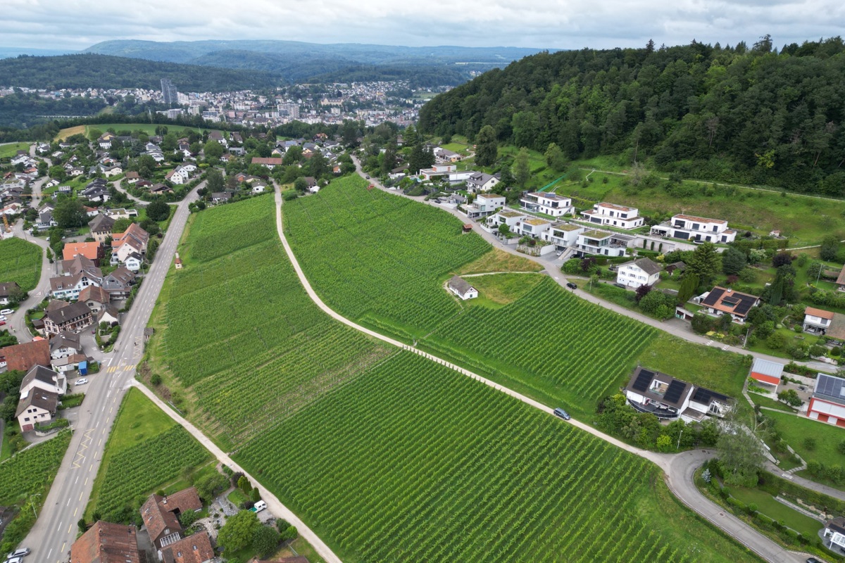 Mitten im Rebberg befindet sich das betroffene Reservoir. Die Reinigungsarbeiten sind abgeschlossen – am 5. August wurde das Trinkwasser wieder freigegeben.
